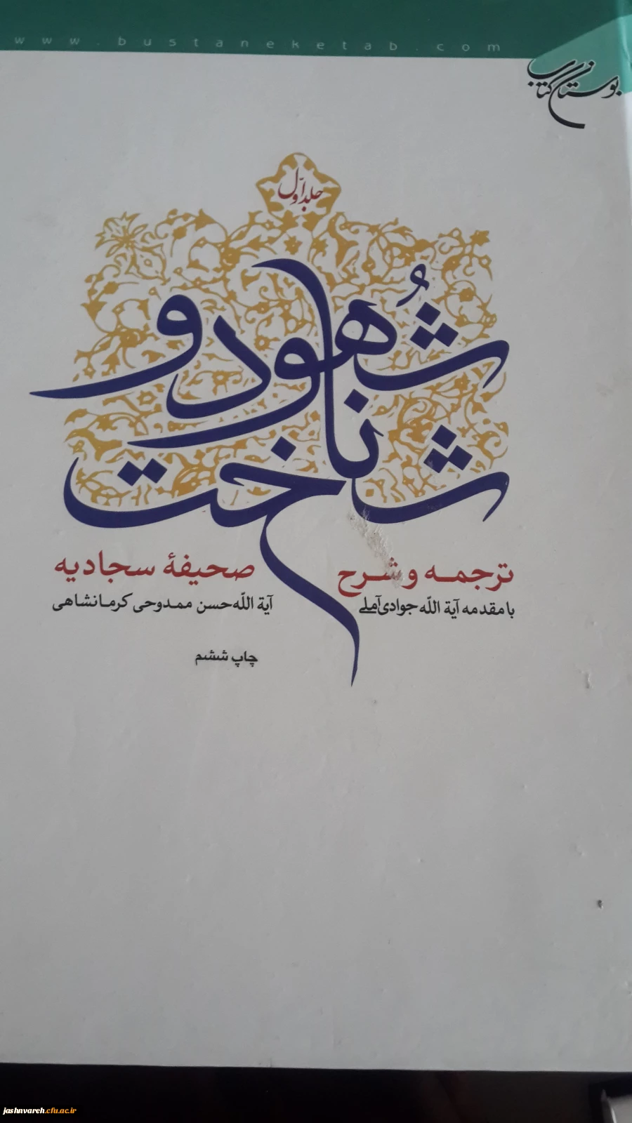 شهودو شناخت