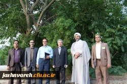 جشنواره فرهنگی