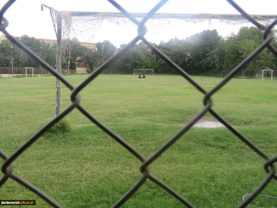 مطالعه  آزاد